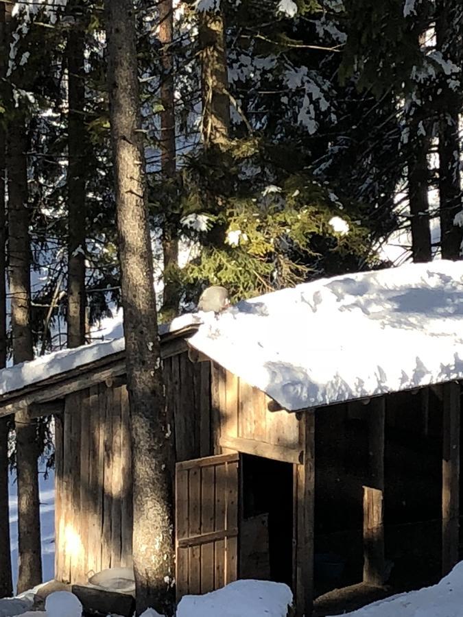 Th Borca Di Cadore - Park Hotel Des Dolomites Bagian luar foto