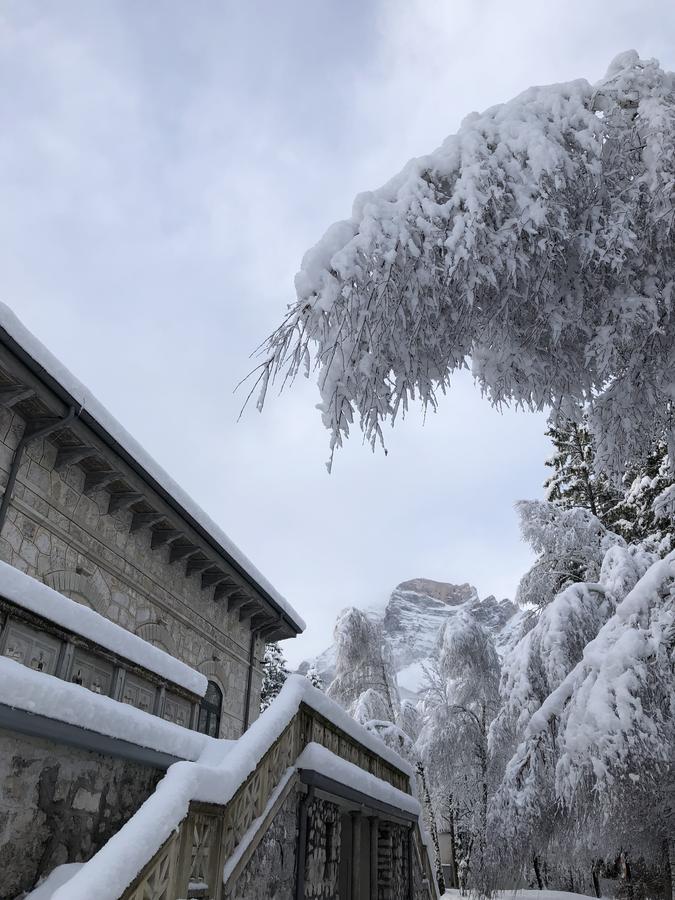 Th Borca Di Cadore - Park Hotel Des Dolomites Bagian luar foto